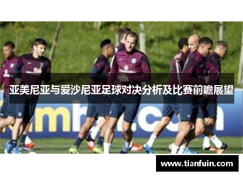 亚美尼亚与爱沙尼亚足球对决分析及比赛前瞻展望