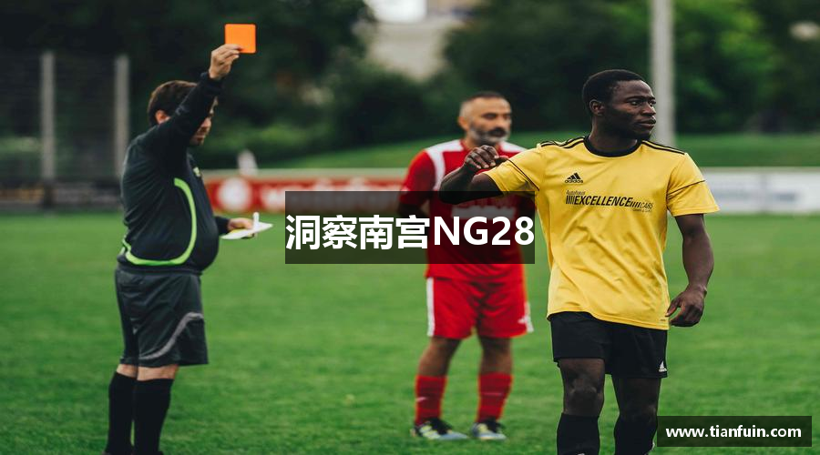 洞察南宫NG28